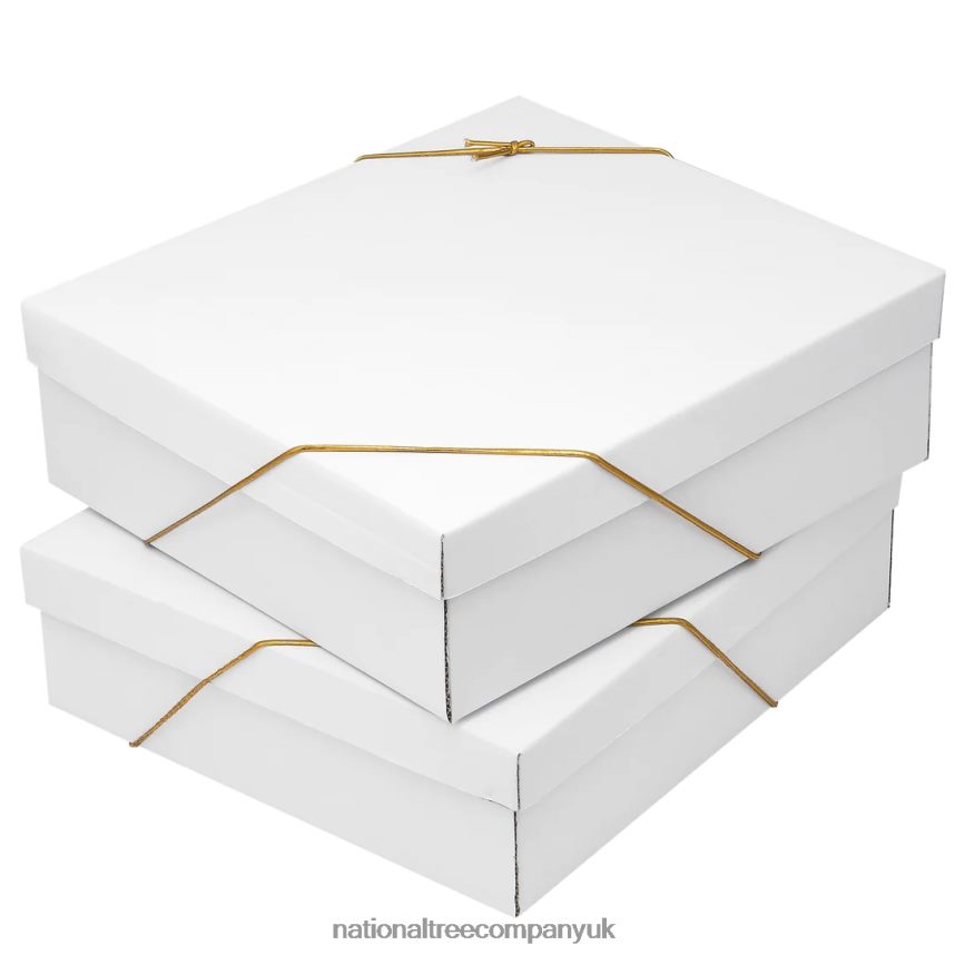 decoration | National Tree Company 20-Piece Christmas Tree Ornament Set Arctic Lights Collection F2L4F532